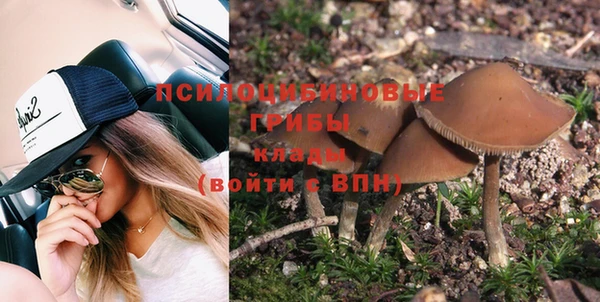 не бодяженный Абдулино
