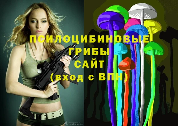PSILOCYBIN Абинск