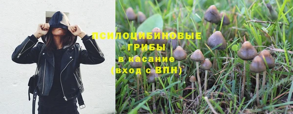 не бодяженный Абдулино