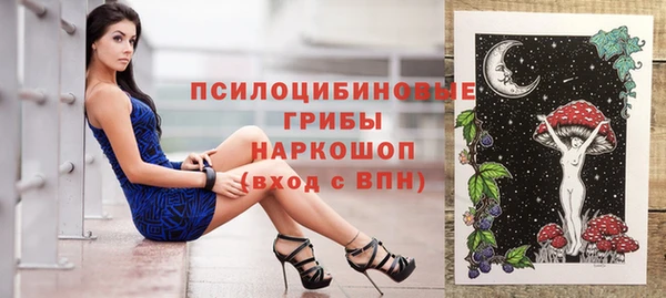 PSILOCYBIN Абинск