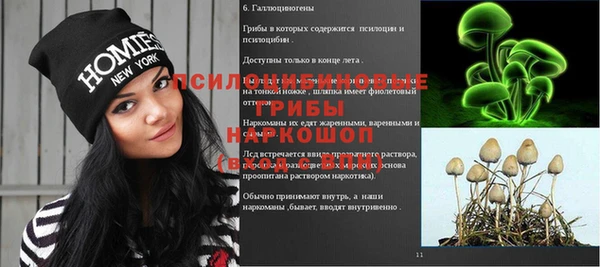 PSILOCYBIN Абинск