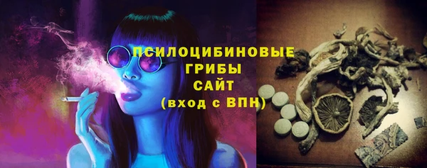 PSILOCYBIN Абинск