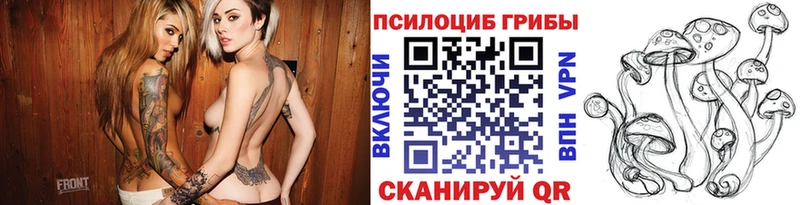 купить наркотики цена Данилов ОМГ ОМГ маркетплейс Галлюциногенные грибы Psilocybe